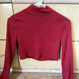 Cropped Turtleneck Sweater